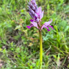 22-04-25 14-06-29 0638